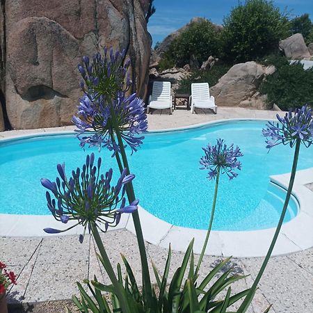 Villa Majore Beb Con Piscina Privata Rena Majore Extérieur photo