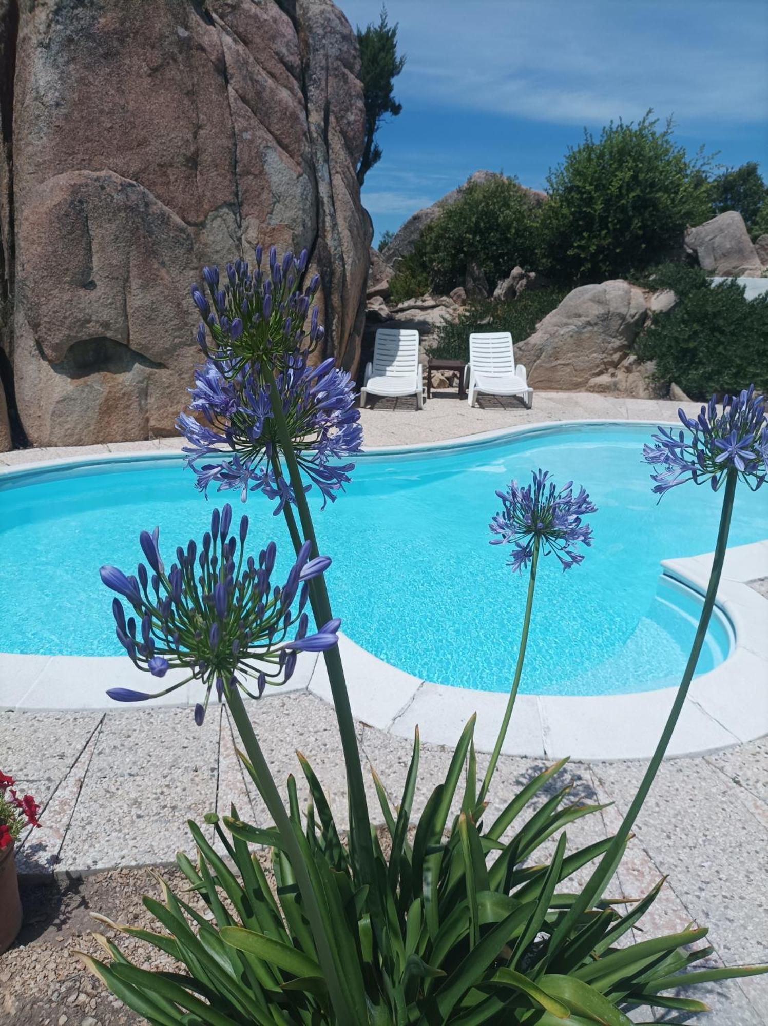 Villa Majore Beb Con Piscina Privata Rena Majore Extérieur photo